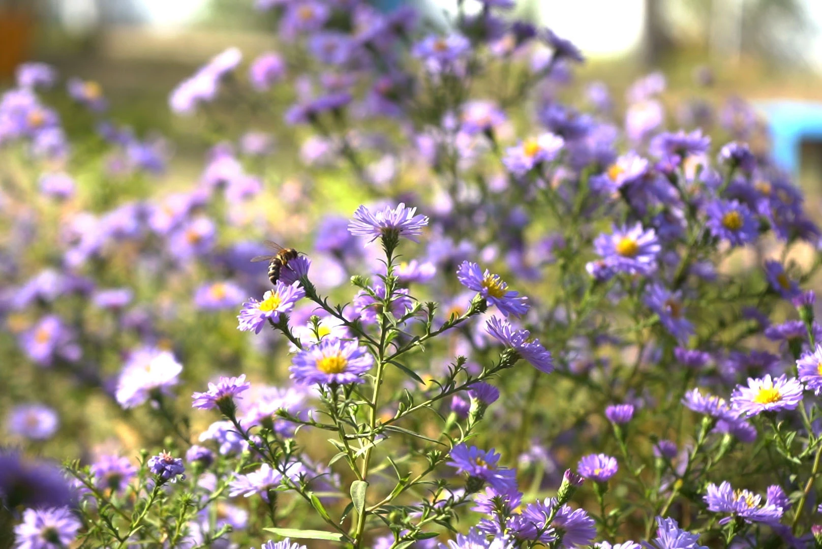 Синоптики рассказали о погоде на западе Казахстана 2 октября